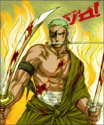 Qu'est-ce que Zoro dteste ?