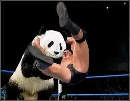 Qui est le crateur du  Diamond Cutter  ? (RKO)