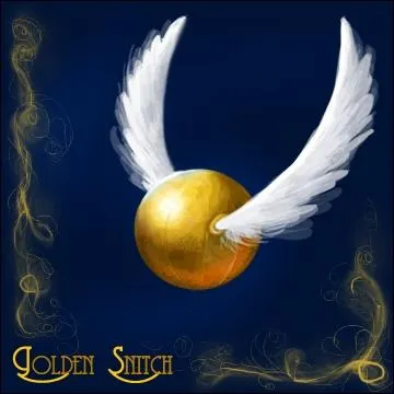 Quelle est la particularit de l'quipe de Quidditch Les Harpies de Holyhead ?