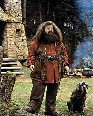 Quel est le cadeau que Hagrid offre  Harry pour Nol dans le tome 1 ?