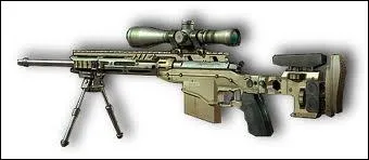 Quel est le nom de cette arme ?