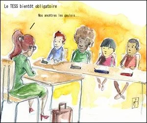 L'preuve externe CE1D sera obligatoire ds juin 2013 et s'ouvrira progressivement  deux nouvelles disciplines. Lesquelles ?