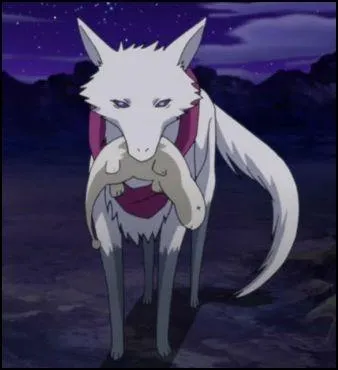 Comment s'appelle-t-il ?