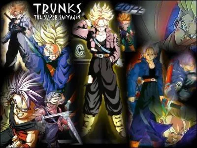 Combien existe-t-il de Trunks ?