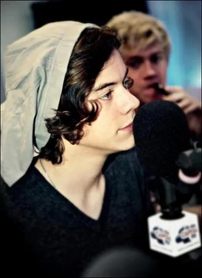 La maman de Harry dit de lui qu'il est :