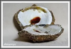 Cette hutre est la plus grosse des ctes franaises pesant en moyenne 300 g et pouvant atteindre 1, 5 kg. Quel est son nom ?