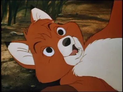 Comment s'appelle la fermire qui recueille Rox ?