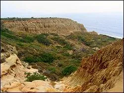 Quel animal ne retrouve-t-on pas dans la faune de la rserve naturelle  Torrey Pines  ?