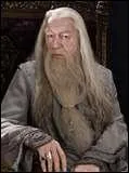 Le nom de Dumbledore est :