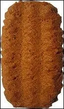 Quel est ce biscuit ?