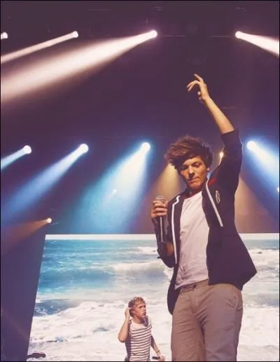 Combien de soeurs  Louis ?