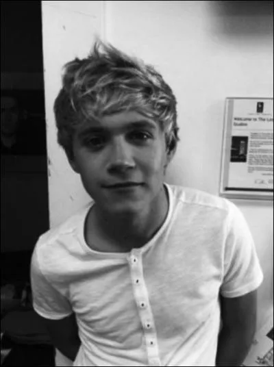 Qui a choisi le prnom de Niall  sa naissance ?