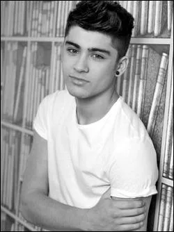 Combien de soeurs a Zayn ?