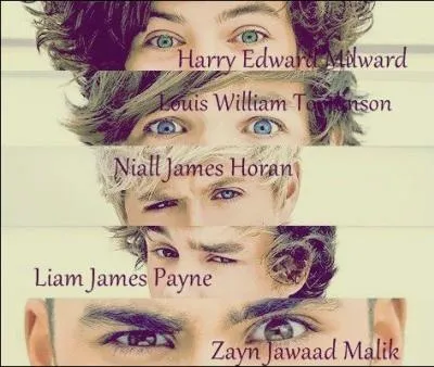 Quel est le titre de la chanson chante par One Direction et Robbie Williams ?