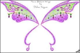 A qui appartiennent ces ailes Believix ?