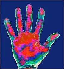 Ceci est la photographie d'une main prise aux infrarouges. Qu'indiquent dans ce type de rayonnement la couleur rouge ?