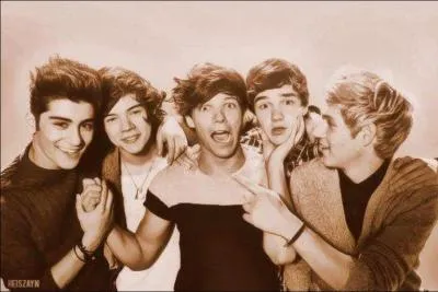 Comment s'appelle la petite amie de Liam James Payne ?