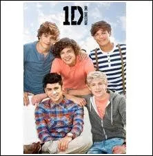 Pendant son audition, Zayn Jawaad Malik a chant :