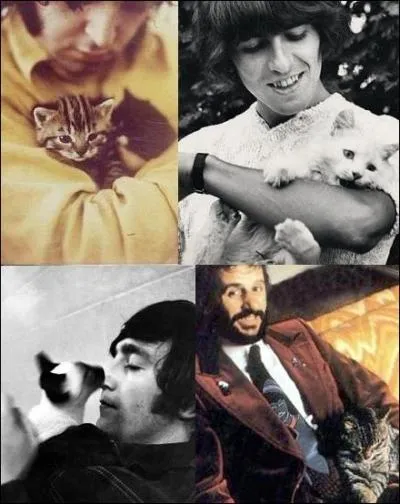 Quatre immenses stars de la musique, ici tous pourvus de petits chats... Qui sont ces artistes ?