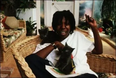 Une artiste qui nous a fait pleurer puis beaucoup rire au cinma, qui s'amuse ici deux jolis chatons gris et un chat blanc. La reconnaissez-vous ?