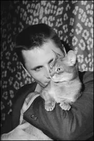 Qui est cet acteur qui a plus l'habitude des rles de gangsters ou des rles piques que de ceux l'amenant  caliner un chat comme ici ?