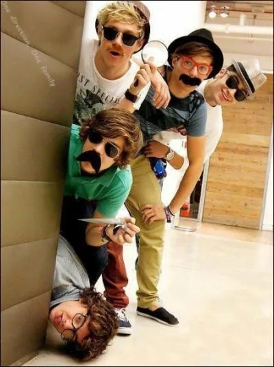 Pour quel jeu video , les 1D ont-il t nomm ambassadeurs ?