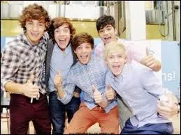 Qui adore  Grease  ?