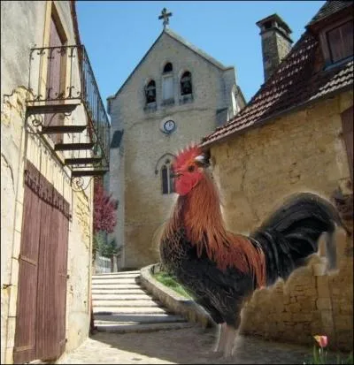 Que signifie l'expression :   Etre le coq du village   ?
