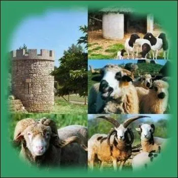 Dans quelle rgion de France peut-on visiter   Mouton-Village   , mi-parc d'attraction, mi-conservatoire des races ovines franaises et mondiales ?