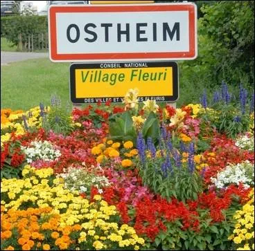 Quel symbole figure sur les panneaux   Village fleuri   pour en dterminer l'importance du fleurissement ?