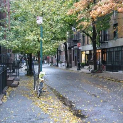 Greenwich Village est connu dans le monde comme un des bastions de la culture artistique et d'un mode de vie bohme. Dans quelle ville amricaine se situe ce quartier ?