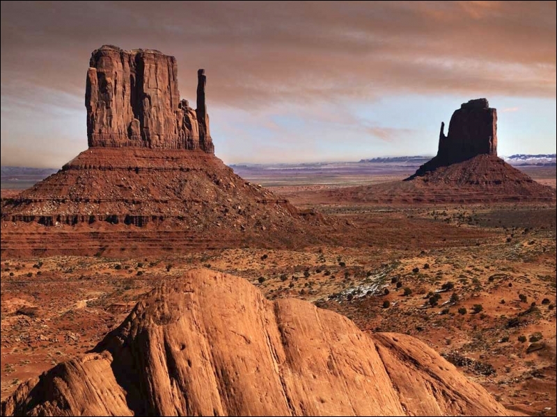 Comment s'appelle le plus grand désert du monde ?