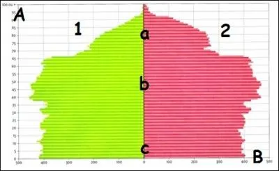 Sur cette pyramide des ges de la France (2011),  quoi correspond les effectifs ?