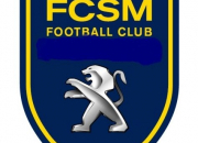 Quiz Logos de football : ligue 1 (2012-2013)