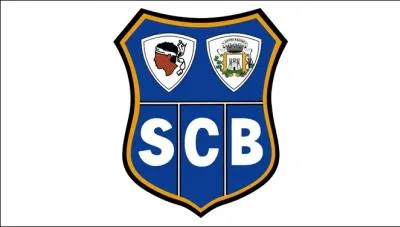 Quel est ce logo de  Ligue 1  ?