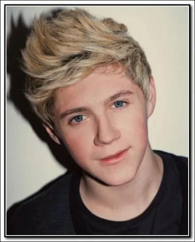 Quel est le surnon de Niall ?