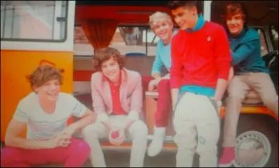 Qui adore les carottes ?