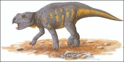 Qui est ce dinosaure ?