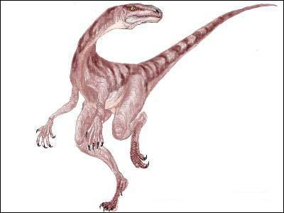 Qui est ce dinosaure ?