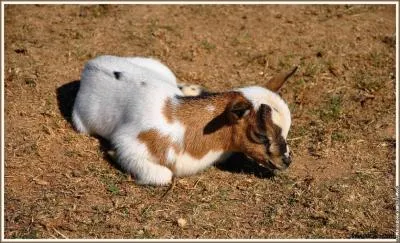 Pour finir, a vous sera trs utile pour surlever !