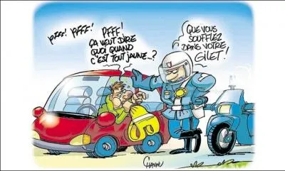 O peut-on poser un perroquet ?