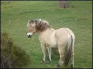 Quelle est cette robe ?