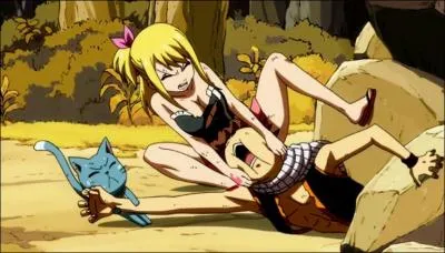 Pendant quel arc voit-on cette image ?