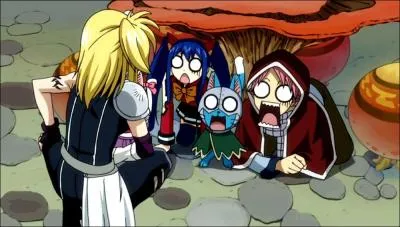 Pendant quel arc voit-on cette image ?