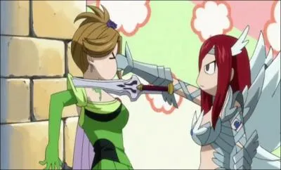 Pendant quel arc voit-on cette image ?