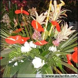 Si nwt vous dit que le quiz qu'elle a cr est une oeuvre d'art :