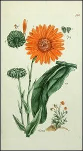 Avec son mauvais caractre, que va-t-elle vous promettre si vous l'agressez ainsi ?