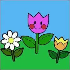 Pour tre tout  fait franc, ses quiz sont mivres et ne volent pas haut !