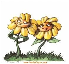 Je dirais mme plus  propos de ses quiz de basse qualit :