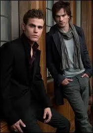 Stefan et Damon sont-ils frres ?